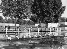 Thames Cup VIII losing to the Royal Air Force