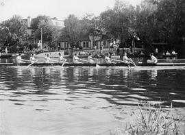 TRC racing Cygnet at an upriver regatta