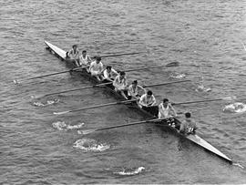 3rd VIII